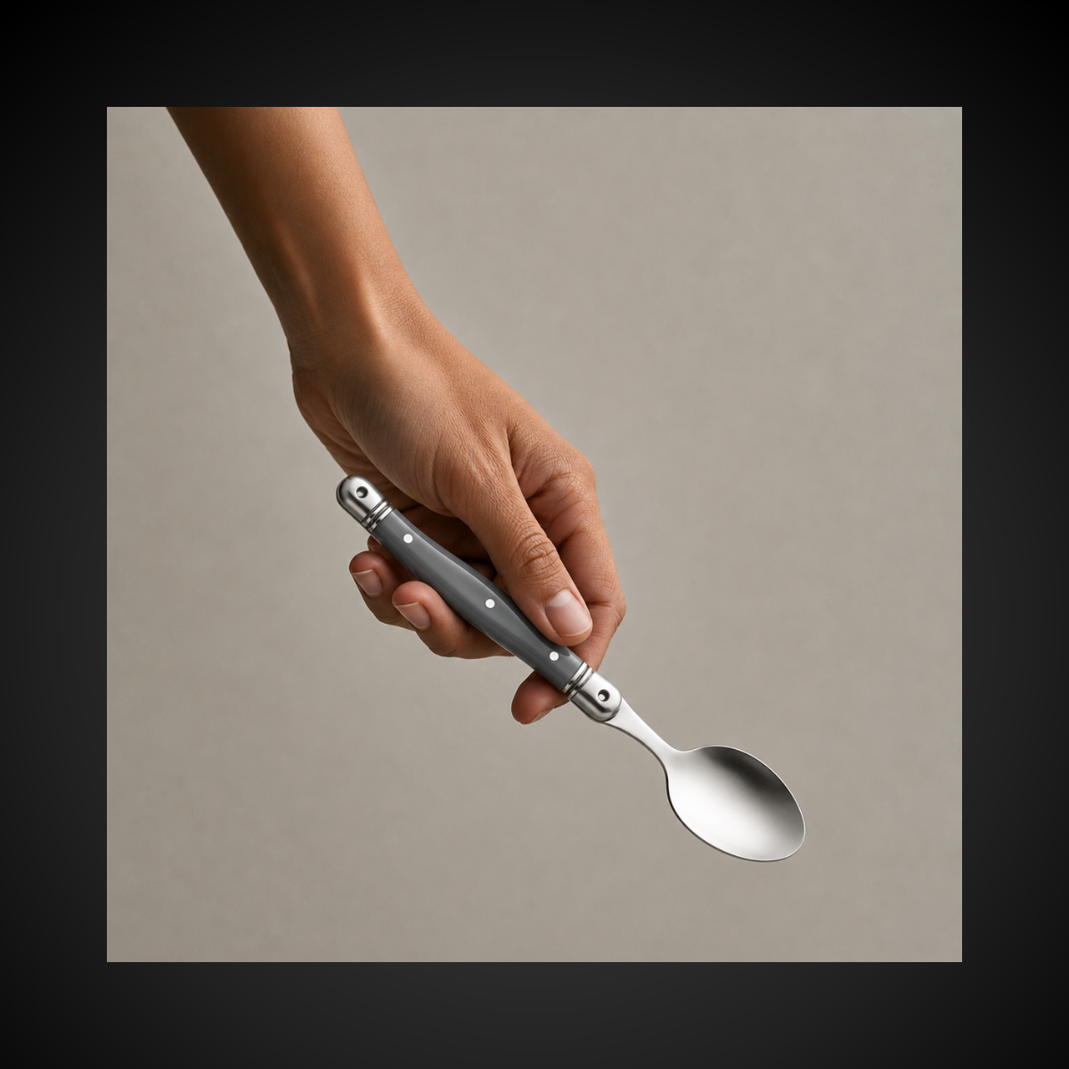Colher Sobremesa 6 Pecas Laguiole La Tour | Inox Ultra
