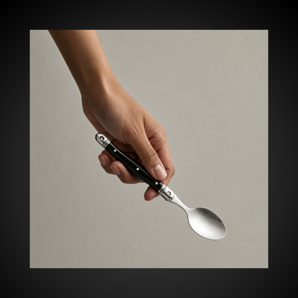 Colher Sobremesa 6 Pecas Laguiole La Tour | Inox Ultra